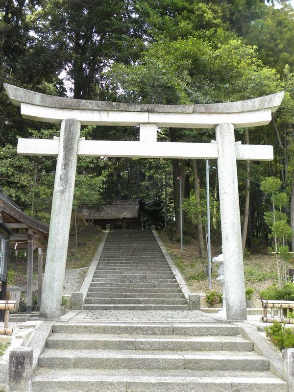 楽天市場】神棚セット モダン 一番小さなお宮さん 神様の使い