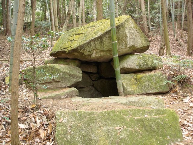 大津のかんきょう宝箱 百穴古墳群（滋賀里1）